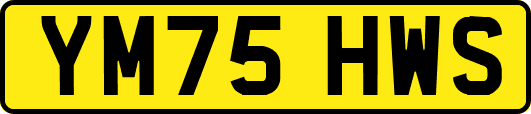YM75HWS