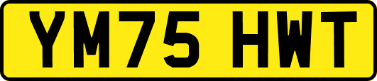YM75HWT