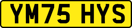 YM75HYS