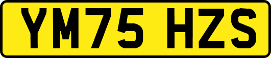 YM75HZS