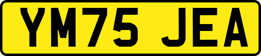 YM75JEA