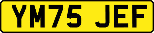 YM75JEF