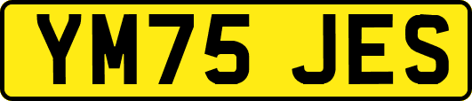 YM75JES