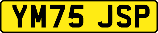 YM75JSP
