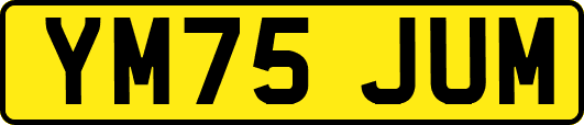 YM75JUM