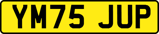 YM75JUP