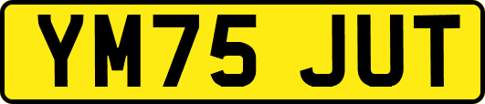 YM75JUT