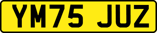 YM75JUZ