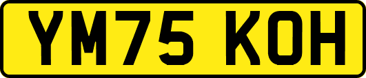 YM75KOH