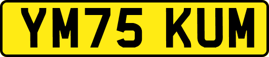 YM75KUM