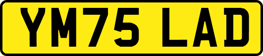 YM75LAD