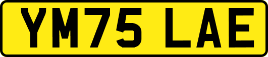 YM75LAE