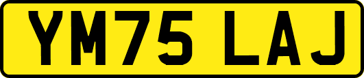 YM75LAJ