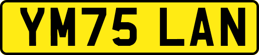 YM75LAN