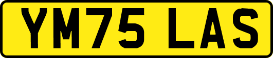 YM75LAS