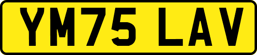 YM75LAV