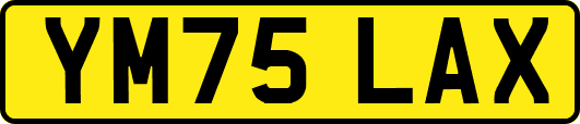 YM75LAX