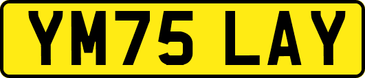 YM75LAY