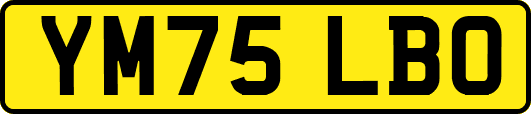 YM75LBO