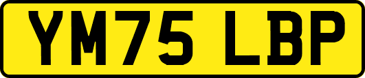 YM75LBP