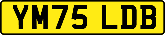 YM75LDB