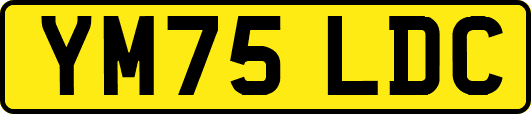 YM75LDC