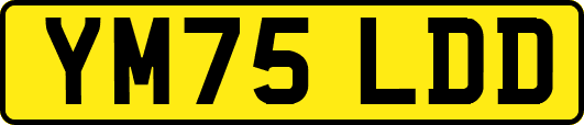 YM75LDD