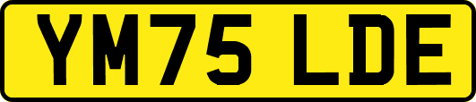 YM75LDE