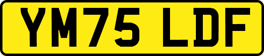 YM75LDF