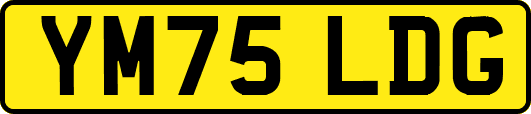 YM75LDG