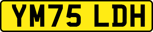 YM75LDH