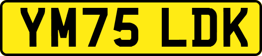 YM75LDK