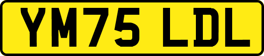 YM75LDL