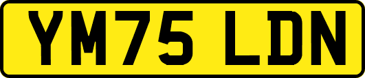 YM75LDN