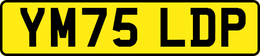 YM75LDP