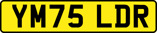 YM75LDR