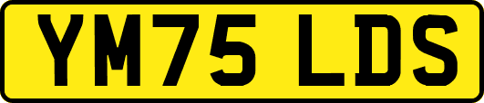 YM75LDS