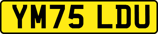 YM75LDU