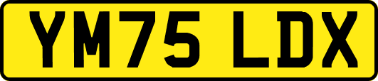 YM75LDX