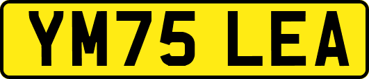 YM75LEA