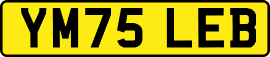 YM75LEB