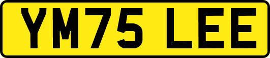 YM75LEE
