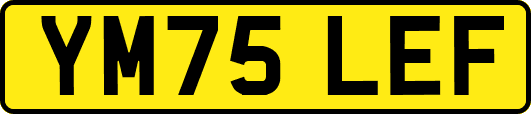 YM75LEF