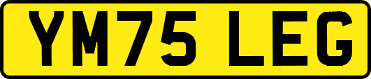 YM75LEG