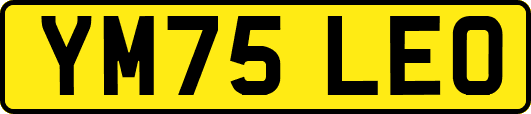 YM75LEO