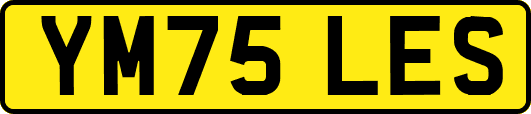 YM75LES
