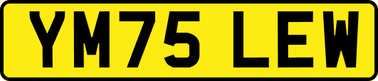YM75LEW