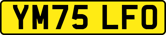 YM75LFO