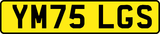 YM75LGS