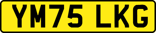 YM75LKG